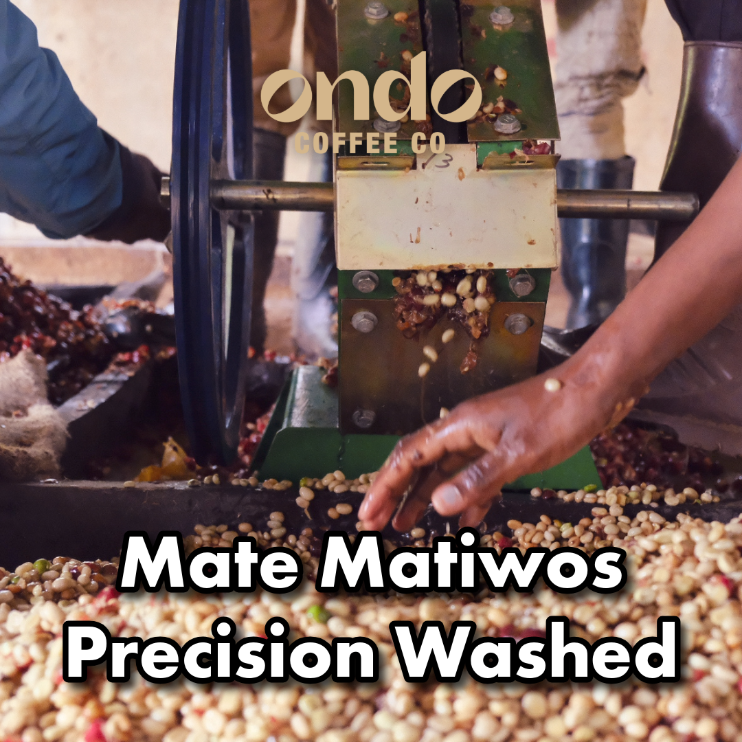 Ethiopia Mate Matiwos Precision Washed - 200g