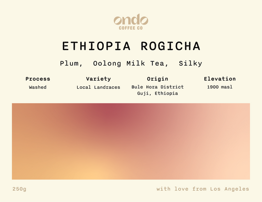 Ethiopia Rogicha Washed - 250g