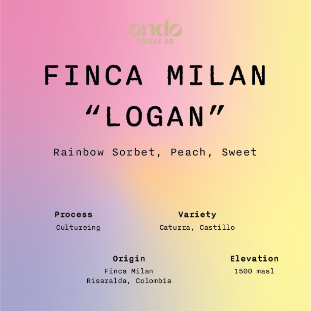 Finca Milan Logan - 200g
