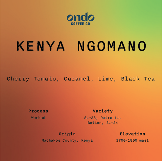 Kenya Ngomano Washed - 250g