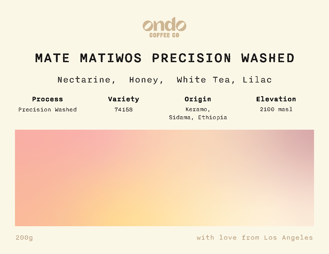 Ethiopia Mate Matiwos Precision Washed - 200g