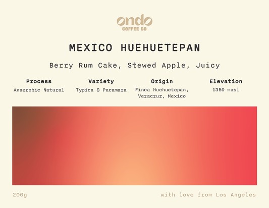 Mexico Huehuetepan Anaerobic Natural - 200g