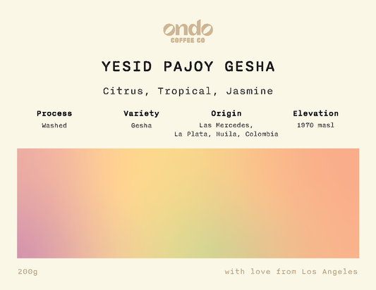 Yesid Pajoy Washed Gesha - 200g